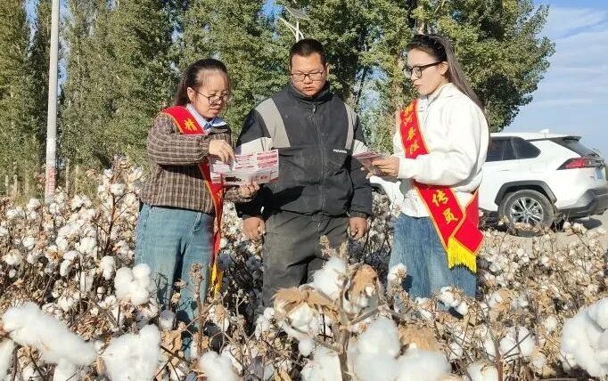 图片 图片